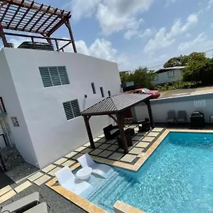 Sunset Coast Loft & Rooftop Villa